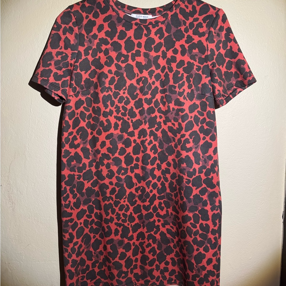 Zara Red and Black Sheath Mini Dress